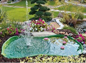 Laghetto per tartarughe/pesci