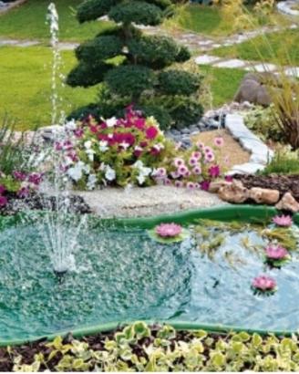 Laghetto per tartarughe/pesci