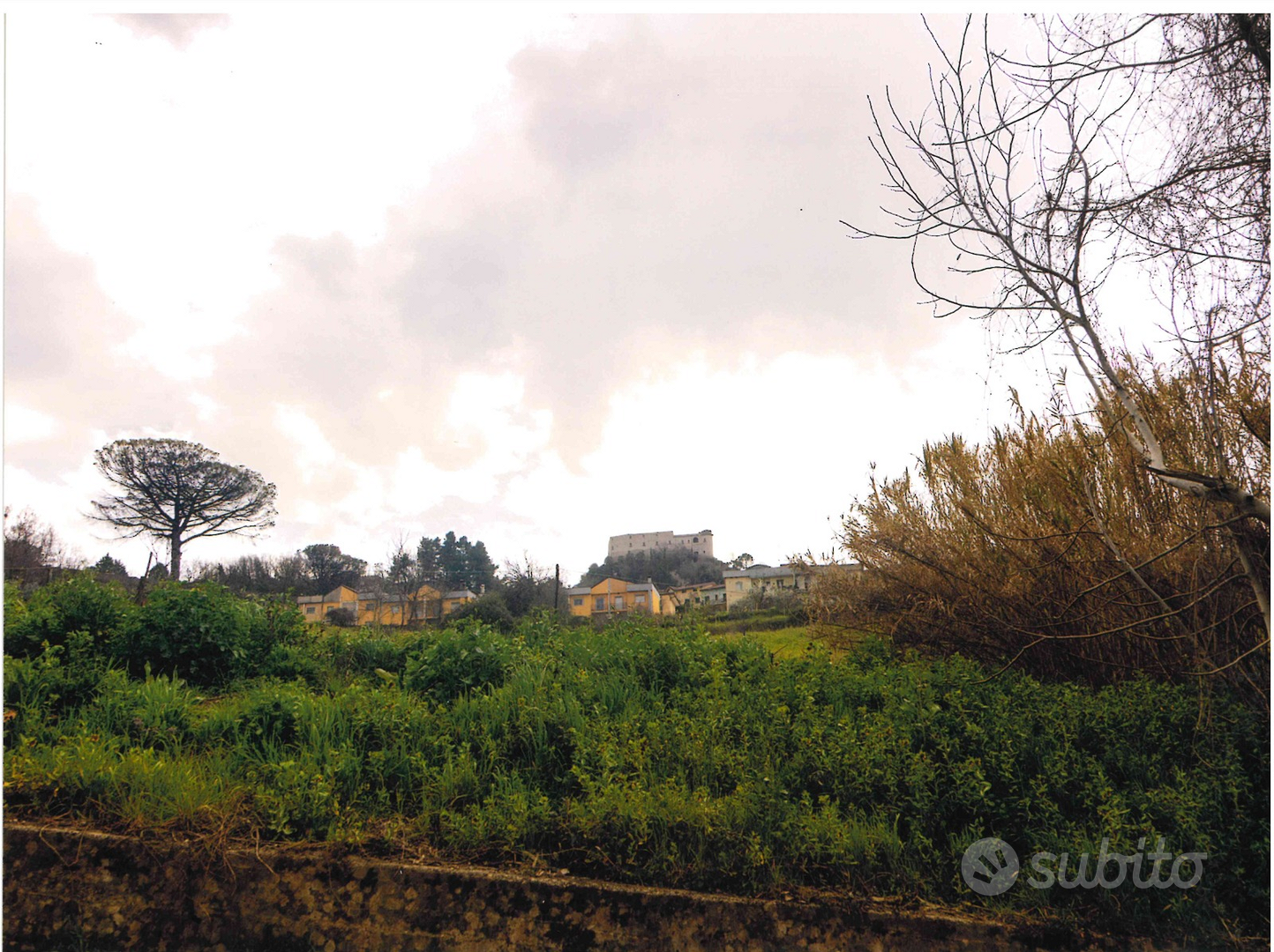 TERRENO di mq. 5500 di cui 1200 EDIFICABILI - Vista 4