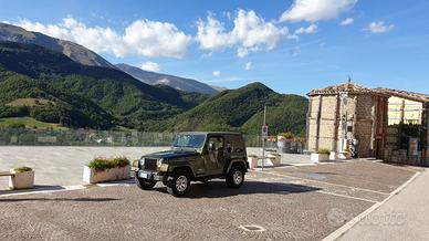 JEEP WRANGLER 65TH ANNIVERSARY