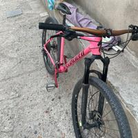 specialized MTB