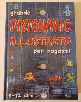 GRANDE DIZIONARIO ILLUSTRATO PER RAGAZZI.