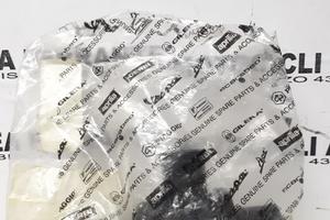 Valvola termostato scarabeo rotax rsv1000