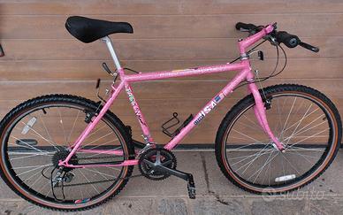 Mountain Bike professionale