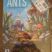 Ants + Promo 
