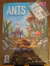 Ants + Promo 