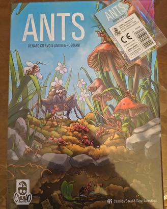 Ants + Promo