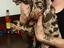 Immagine 4