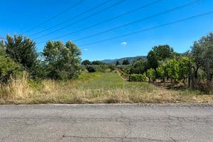 Palestrina terreno agricolo