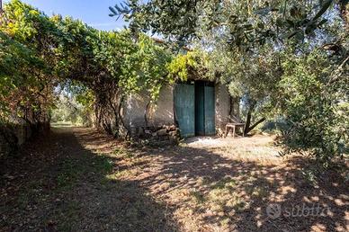 Immobile di 76 m² a Moricone