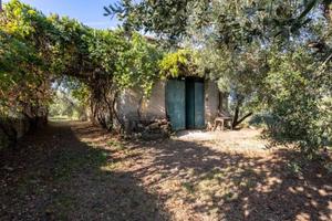 Immobile di 76 m² a Moricone