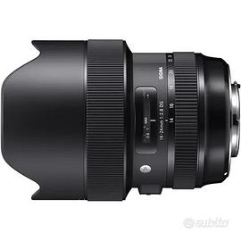 Sigma 14-24mm f/2.8 HSM Art x Canon