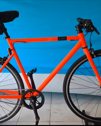 bicicletta 