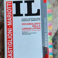 Dizionario latino