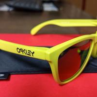 Occhiali da sole Oakley Frogskins 24-341 Polarizza