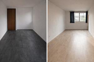 Studi luminosi e raccolti di 21m