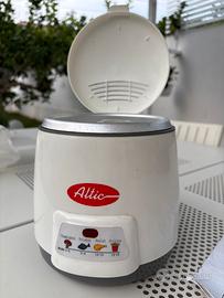 Piccola friggitrice elettrica olio