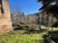 Immagine 12