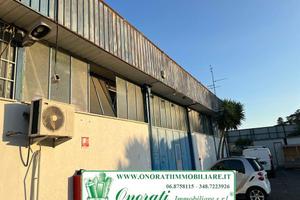 CC-311 MQ 227 ROMA, TORRE ANGELA FRONTE GRA