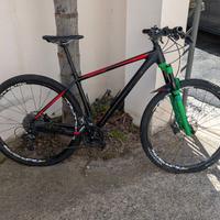 Mtb focus black forest 29