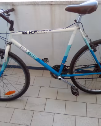 MOUNTAIN BIKE