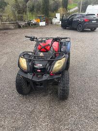 Quad kymco