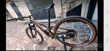 Mtb full suspension Stumpjumper