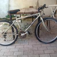 specialized hardrock