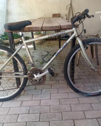 specialized hardrock