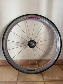 Cerchi campagnolo vento