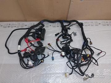 impianto elettrico completo benelli trk 502 502x