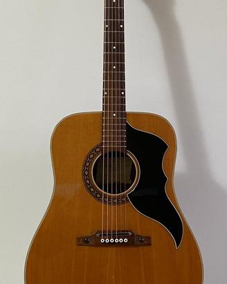 Chitarra acustica Eko J54 1965