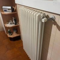 Radiatori in acciaio