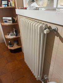 Radiatori in acciaio