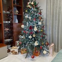 Albero di Natale comprato da Carmen il fiorista