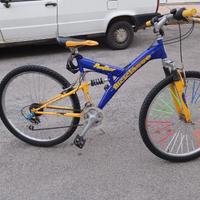 Mountain bike