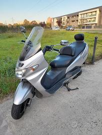 Burgman 250 Business