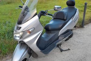 Burgman 250 Business