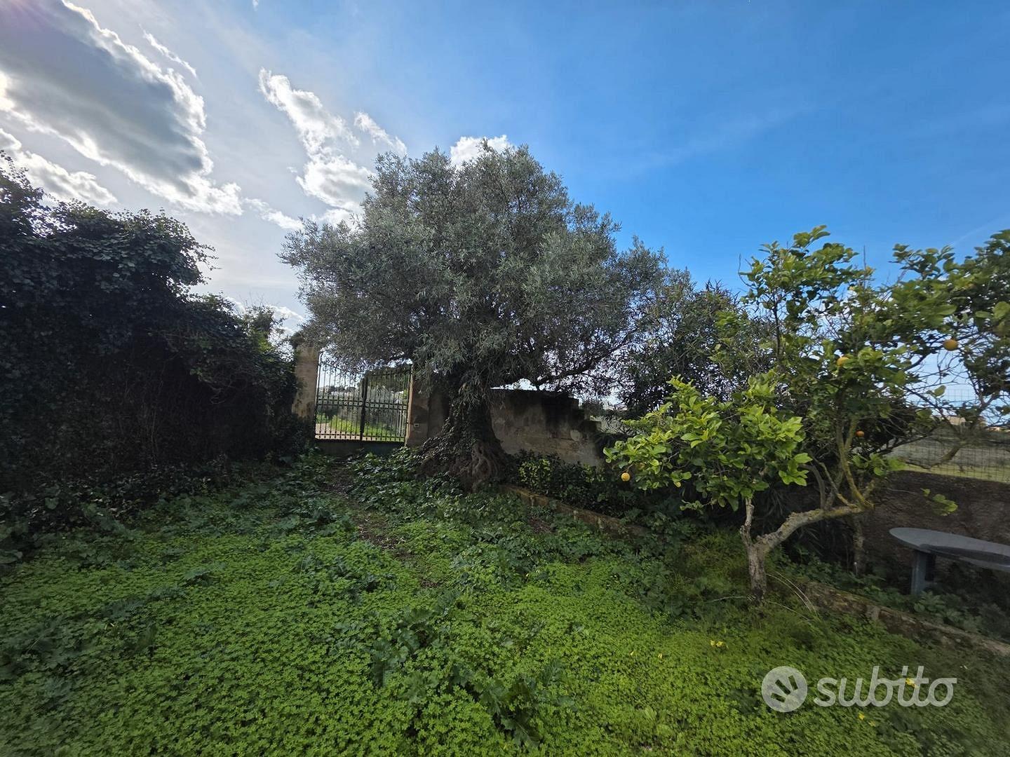 Castelvetrano casa rurale con ampio terreno - Altro