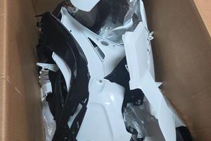 Carene in Abs BMW S1000RR