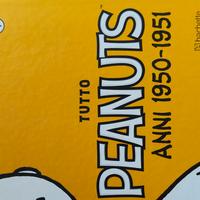 tutto peanuts
