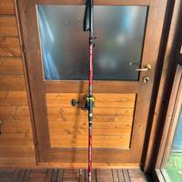 Canne da pesca surf (da spiaggia)