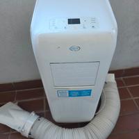 pinguino condizionatore argo