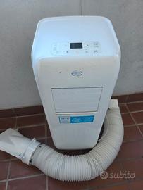 pinguino condizionatore argo