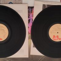 Collezione LP italiani e internazionali