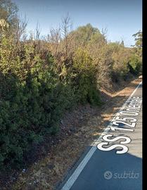 Terreno agricolo ss 125 di 28620 mq