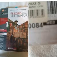 libro Il tesoro della letteratura 