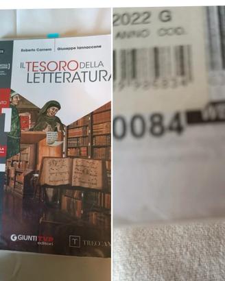 libro Il tesoro della letteratura 