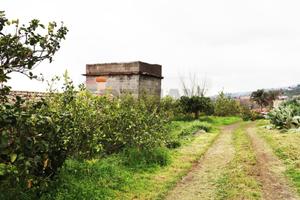 Terreno - Fiumefreddo di Sicilia