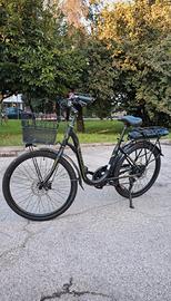 bicicletta elettrica. (e-bike) Torpado Gaia